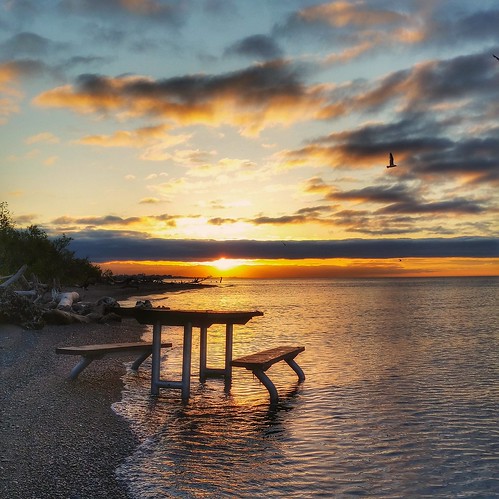 lake toronto ontario proud sunrise bench table outdoors happy shoreline