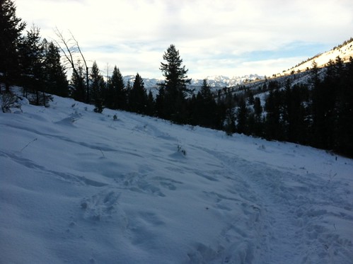 Snowpacked Trail Ahead
