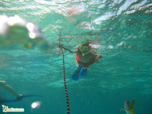kid snorkeling in belize