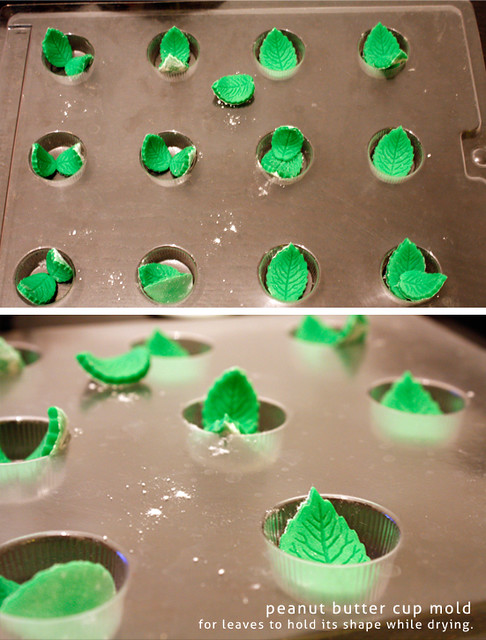How To Make Fondant Leaves
