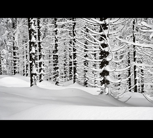 winter landscape explore gettyimages cernahora explored stafbulcz jaroslavvondracek