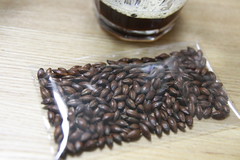 チョコレート麦芽