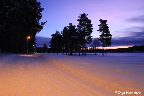 schnee winter light sun snow sunrise canon landscape licht sweden schweden lappland ngc sigma lapland landschaft sonne sonnenaufgang jokkmokk lichtstimmung sigma1750mm canoneos60d