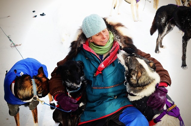Megan of Kingmik Dogsled Tours, with her dogs, post run, in the Banff/Lake Louise region of Alberta, Canada