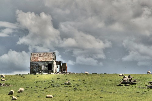 old newzealand house storm building abandoned home clouds century rural cabin rust ruins sheep decay farm cottage bulls historic shack wreck derelict dilapidated 19th marton sh1 deterioration manawatu oldandbeautiful oncewashome