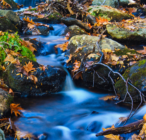 fall nature water canon outdoors stream connecticut newengland nd polarizingfilter ndfilter