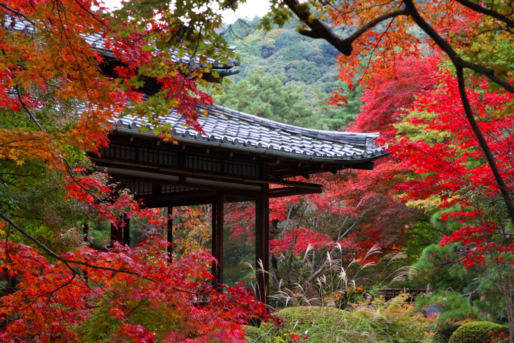 Kyoto Nanzen TempleEikando Guide (22)