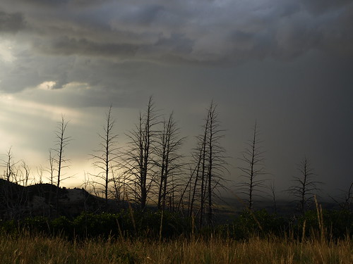 colorado mesaverde thunderstorm lightning