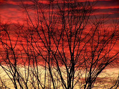 toscana siena poggibonsi tramonto 2011 rosso cielo rami sunset silohuette