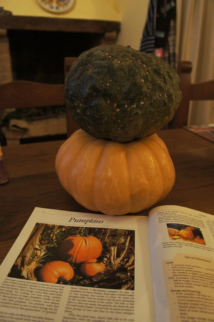 The start of a Pumpkin Pie