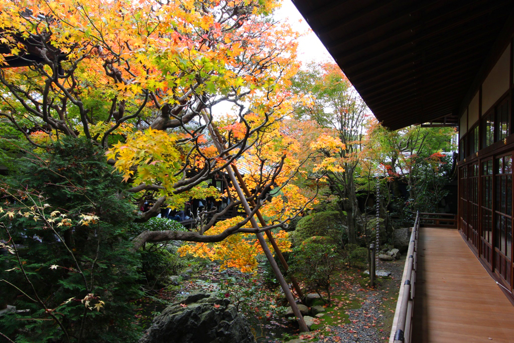 Kyoto Nanzen TempleEikando Guide (25)