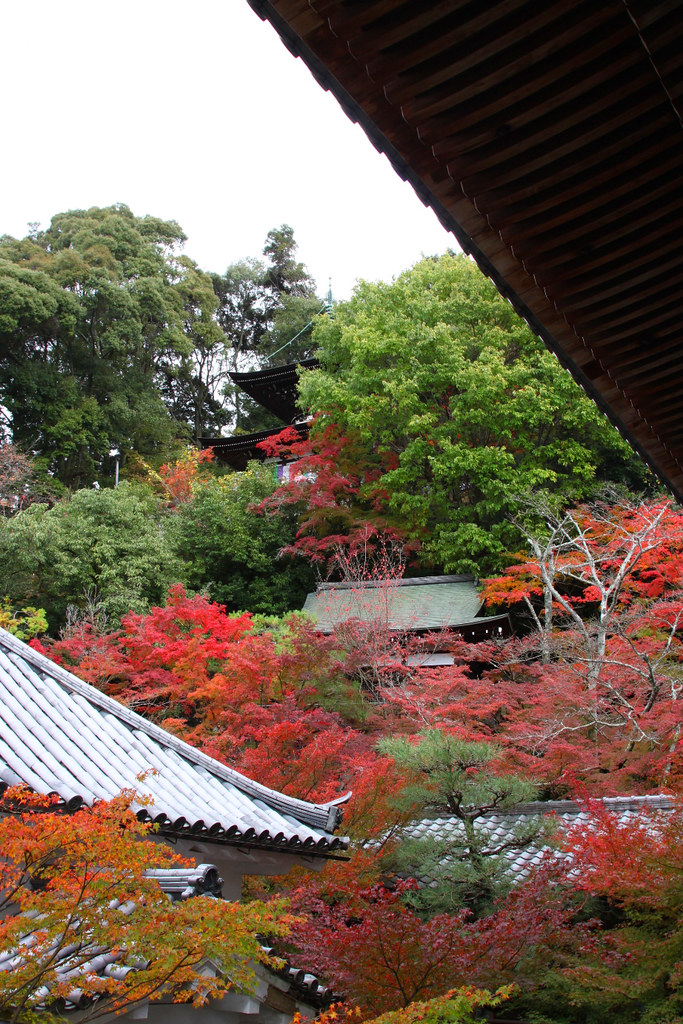 Kyoto Nanzen TempleEikando Guide (27)