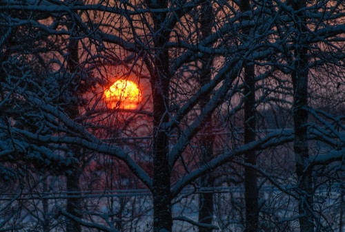 morning trees sun sunrise hdr