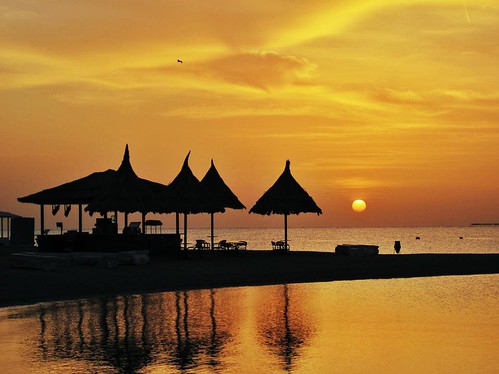 ocean orange sun bird beach sunrise sand bath redsea egypt siva 2012 beachbar
