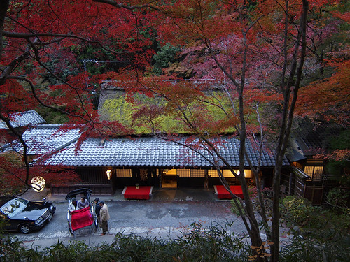 blue autumn sunset red night kyoto dusk olympus arashiyama 京都 紅葉 嵐山 rickshaw sagano 1122 ep1 pulled zd 嵯峨野 人力車 hiranoya 鳥居本 平野屋 毎年ここだけ紅葉早い