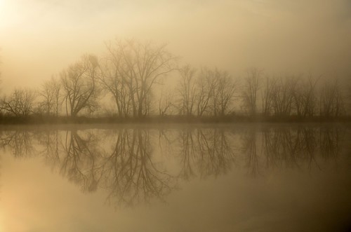 trees brown mist wet water fog sunrise reflections river droplets nikon frost blues dew greens hudsonriver landscrapes d7000