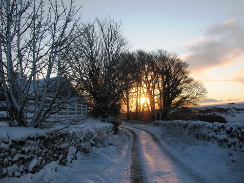 winter sky sun snow tree sunrise dawn yorkshire dales