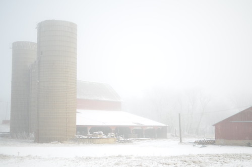 fog illinois foggy il freeway expressway sundaydrive i88 interstate88