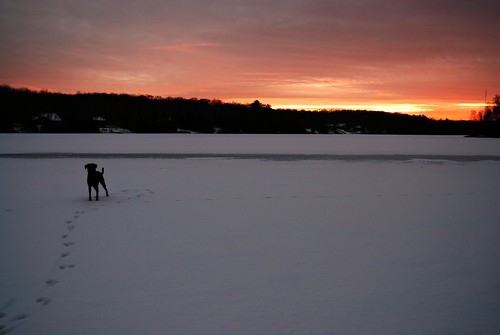 sunset dog lake christmaseve