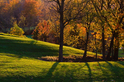 autumn trees red orange sun green fall yellow evening shadows hills slant gentle converge slopes glenwoodgardens