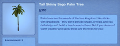 Tall Skinny Sago Palm Tree