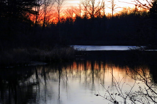 sunset reflection tree water woods newyearsday