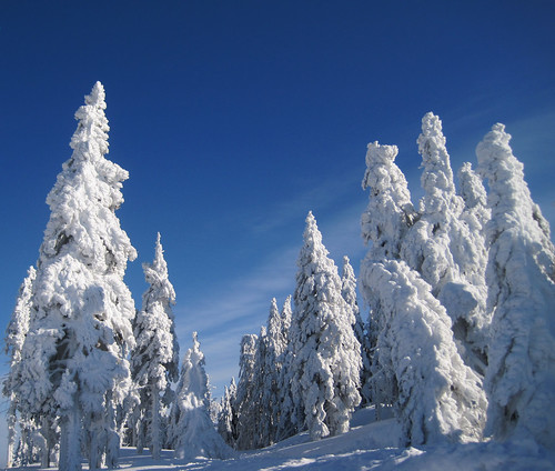 trees sky white snow cold canon landscape austria frost skiing snowy bluesky clearsky verycold whitefrost southbohemia mühlviertel hochficht canonixus95 desomnis
