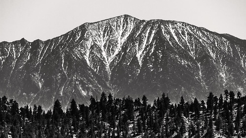 bw white snow black forest canon landscape spring peak socal april xs southerncalifornia hps sanjacinto sanbernardinonationalforest sanbernardinomountains hundredpeakssection onyxpeak sigma18250mmf3563dcmacrooshsm