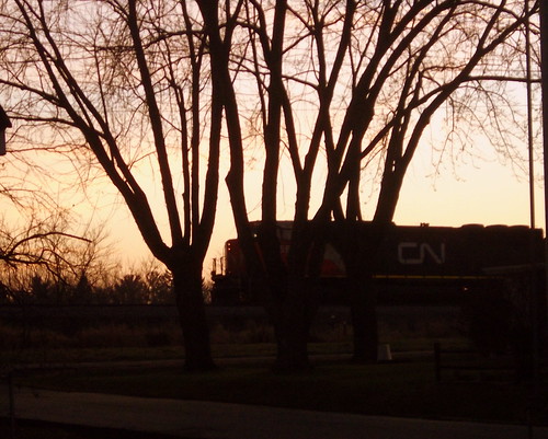 railroad trees sunset tree wisconsin cn train evening dusk engine rail railway locomotive wi railfan settingsun canadiannational marshfield sunsetcolors centralwisconsin cn5651 canadiannational5651