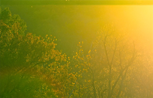 autumn trees sunset ohio glow glare cincinnati insects flare woodlawn intothesun glenwoodgardens