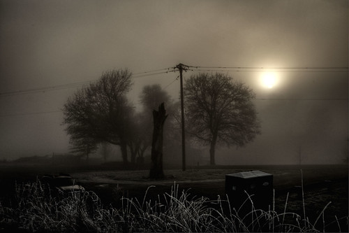 silhouette fog night oregon island shadows dream foggy eerie dreamy 1001nights sauvie