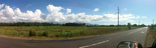 landscape ricefield zambales