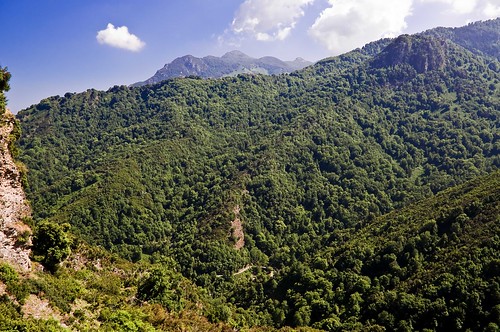 vacances flickr photos corse daniel corsica ciel arbres nuages paysages natures montagnes cremona chataignes erbajolo