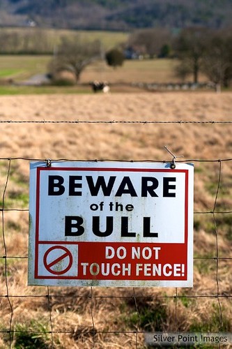 sign rural warning canon fence landscape cow tn beware farm tennessee bull 2012 30d project365