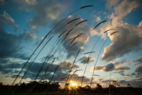 sunset pentax farm steev grafton k200d steveselbyphotography