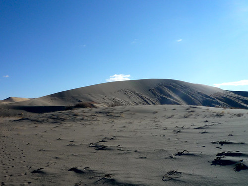 statepark sand desert dunes idaho sanddunes bruneau mountainhome bruneaudunes bruneaudunesstatepark