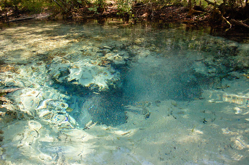 water creek spring florida clear springs gainer econfinacreek gainersprings mccormicksprings