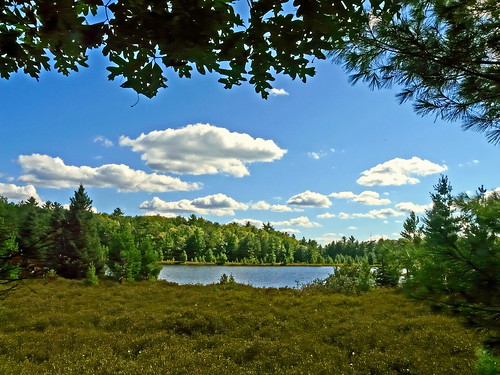 trees sky lake nature water clouds forest woods michigan bluesky panasonic interlochen lostlake lakeann grandtraversecounty lakedubonnet fz18 scenicsnotjustlandscapes jimflix lostlakepathway