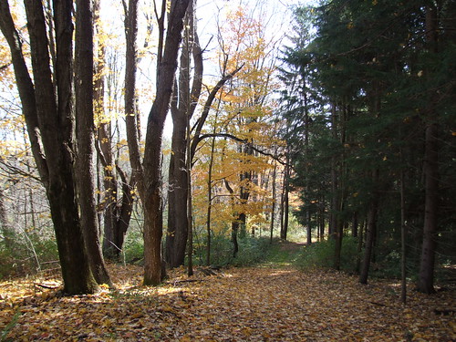 camping fall nature colors hiking newgermany