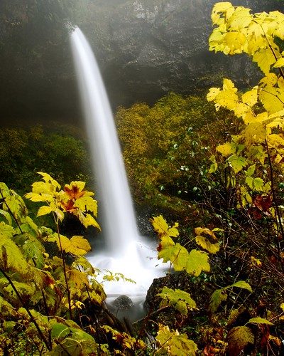 oregon waterfalls silverfallsstatepark northfalls