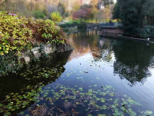 park parque autumn water lumix pond agua galicia otoño estanque vigo castrelos leicalens dalbao francodalbao