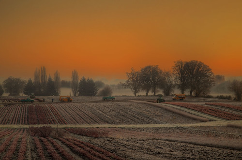 cold sunrise landscape early workers frost farming equipment vehicles 1001nights sauvieisland 1001nightsmagiccity