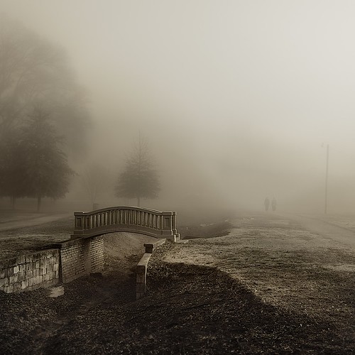 fog landscape day alabama decatur allrightsreserved fogandrain napg delanopark leemccain nikond700 nikkor1635mm nophotocanbeusedwithoutmywrittenpermission