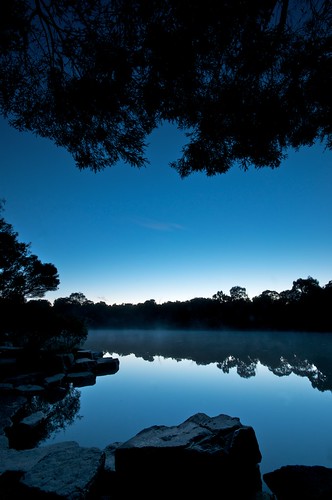 park wild lake nature water dawn bush australia melbourne blackburnlake flickrstruereflection1 flickrstruereflection2 flickrstruereflection3 flickrstruereflection4 flickrstruereflection5