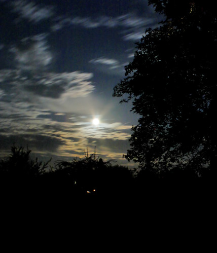 trees sunset storm clouds daylight poland polska fullmoon księżyc światło drzewa zmierzch czarnechmury