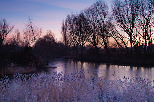 ice sunrise purple january peterborough phragmites cambridgeshire rivernene theboardwalks