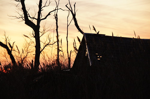 sunset water baretrees capemaycounty denniscreek dennisville