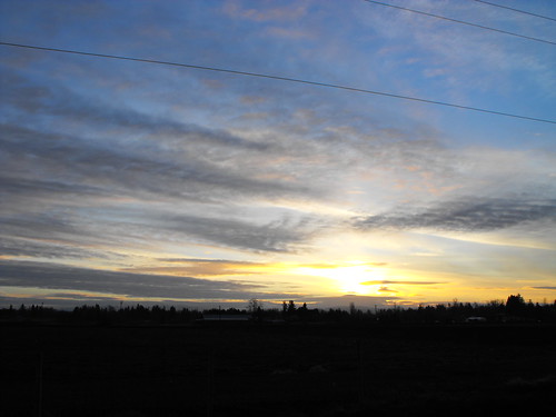 trees clouds sunrise scenery bc britishcolumbia langley fraservalley lowermainland
