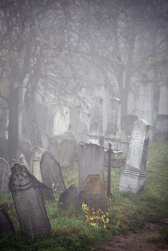 mist tree cemetery grave graveyard fog landscape grey republic czech graves mysterious jewish churchyard moravia morava mikulov pálava