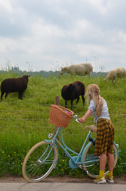 rural ride